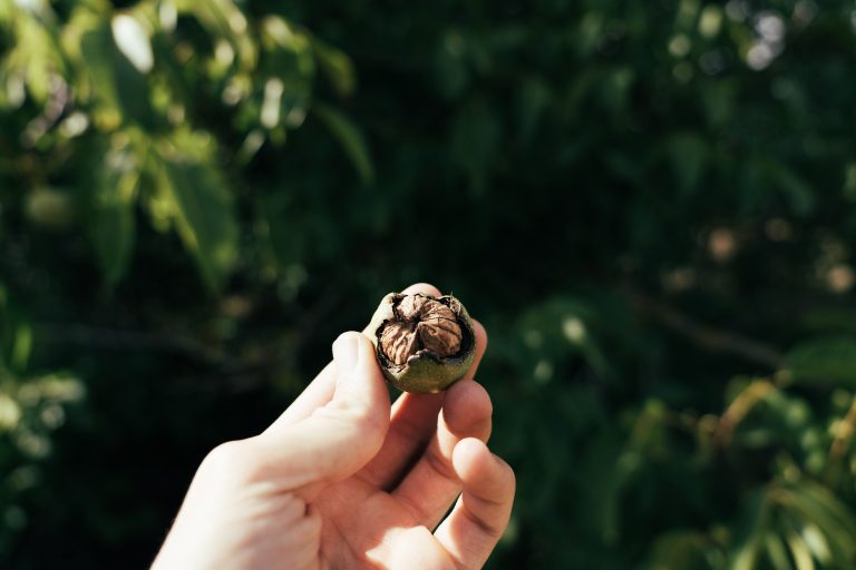 Slow travel en Finca El Cercado.