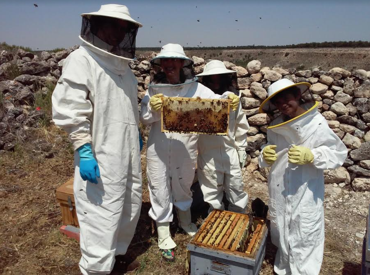 apicultura Palencia